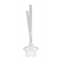 Lappmark - bookmark, star AP718679-A, argintiu