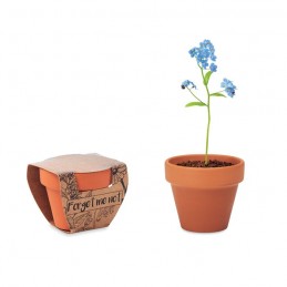 FORGET ME NOT. Vas teracota "nu ma uita"      MO6146-40, wood