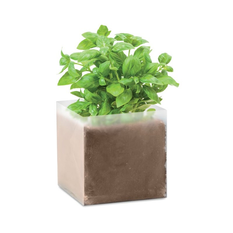 BASIL - Compost cu semințe "BASIL"     MO9545-13, Beige