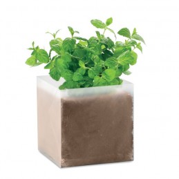 MINT - Compost cu semințe "MINT"      MO9546-13, Beige