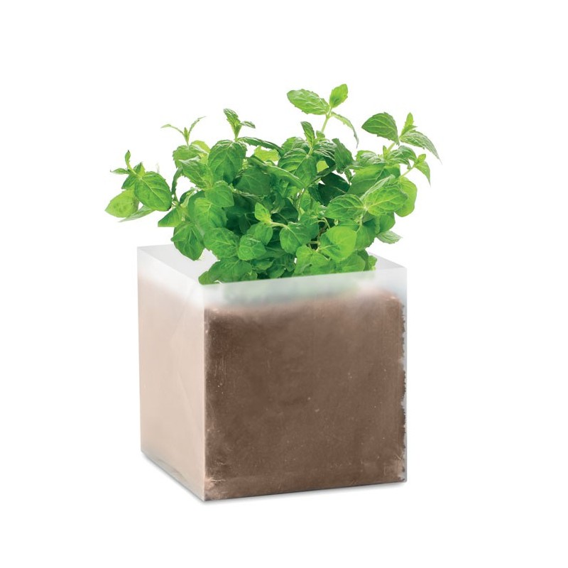 MINT - Compost cu semințe "MINT"      MO9546-13, Beige