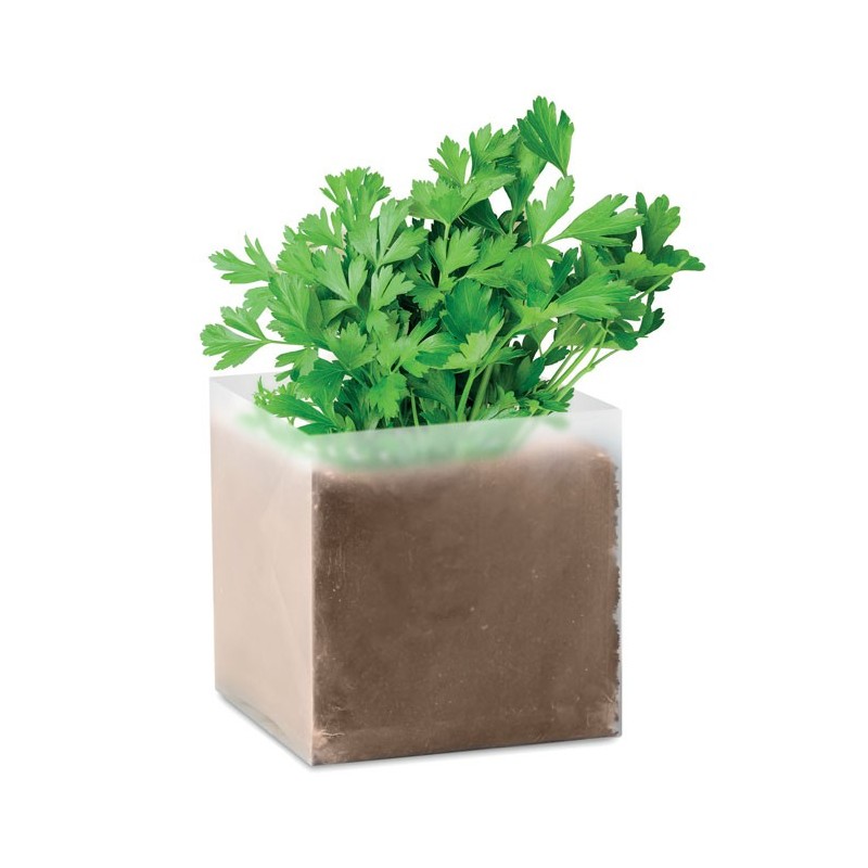 PARSELY - Compost cu semințe "PARSLEY" MO9547-13, Beige PARSELY - Compost cu semințe "PARSLEY" MO9547-13, Beige