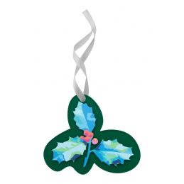 CreaJul, ornament personalizat pentru brad - AP716492-07T-21, verde transparent