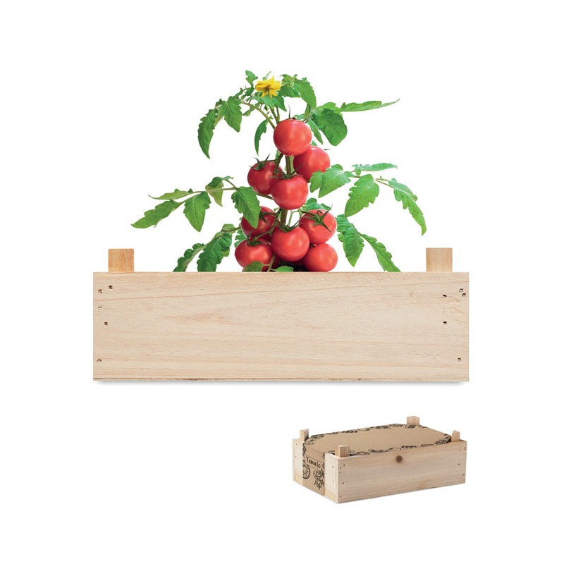 TOMATO, Set de roșii în cutie de lemn  MO6498-40, Wood