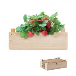 STRAWBERRY, Kit căpșuni în cutie de lemn   MO6506-40, Wood
