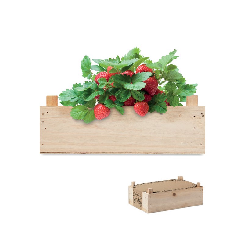 STRAWBERRY, Kit căpșuni în cutie de lemn   MO6506-40, Wood