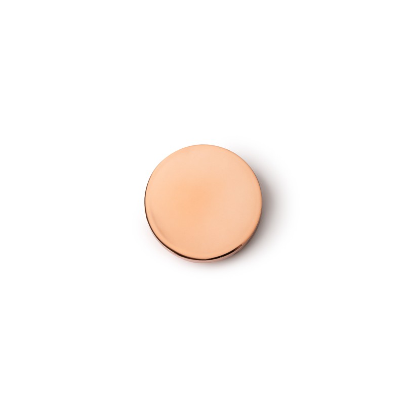 LIP BALM GOLDEN PINK - SB1480