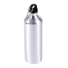 EASY TRIPPER water bottle 800 ml, silver - R08417.01