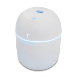 MISTY humidifier with lamp, white - R50157.06