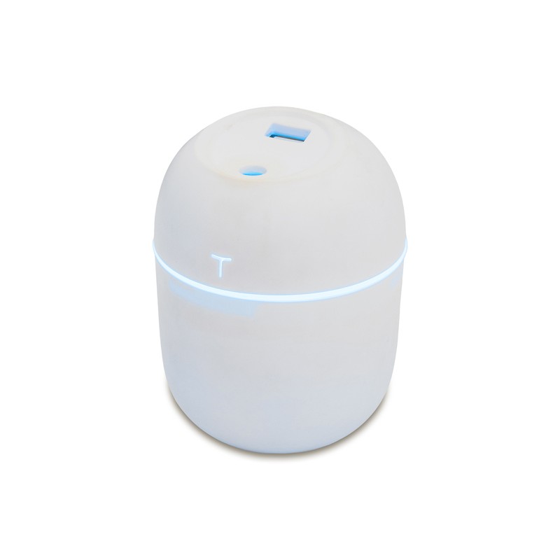 MISTY humidifier with lamp, white - R50157.06