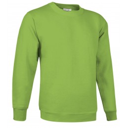 Sweatshirt DUBLIN, apple green - 300g
