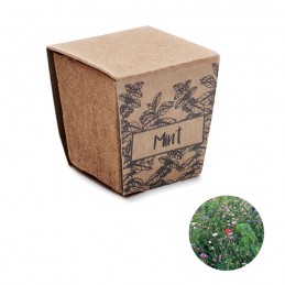 MINT KIT, Kit de creștere a semințelor de me, Bej - MO2410-13