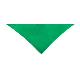 Wasat. Neckerchief (MAKITO 20635 ) - GREEN